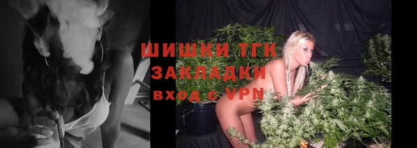 винт Богородицк