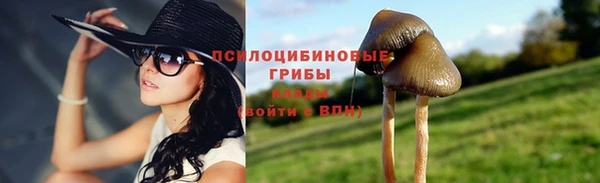 винт Богородицк
