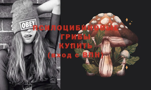 PSILOCYBIN Слюдянка