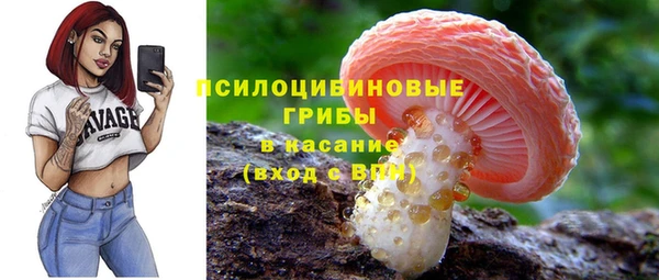 мескалин Богородск
