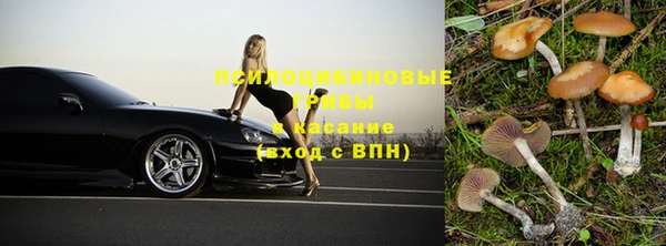 винт Богданович