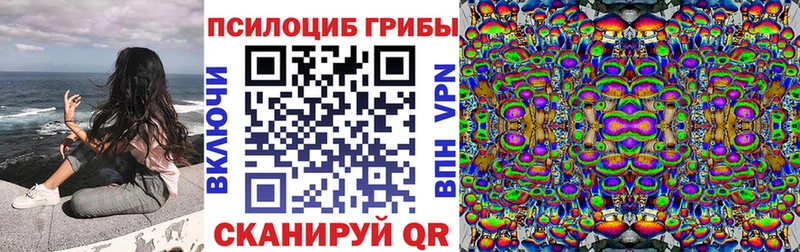 Псилоцибиновые грибы мицелий Нытва