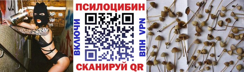Галлюциногенные грибы Magic Shrooms Нытва