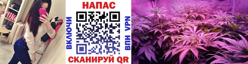 мега маркетплейс  сколько стоит  Нытва  Канабис White Widow 